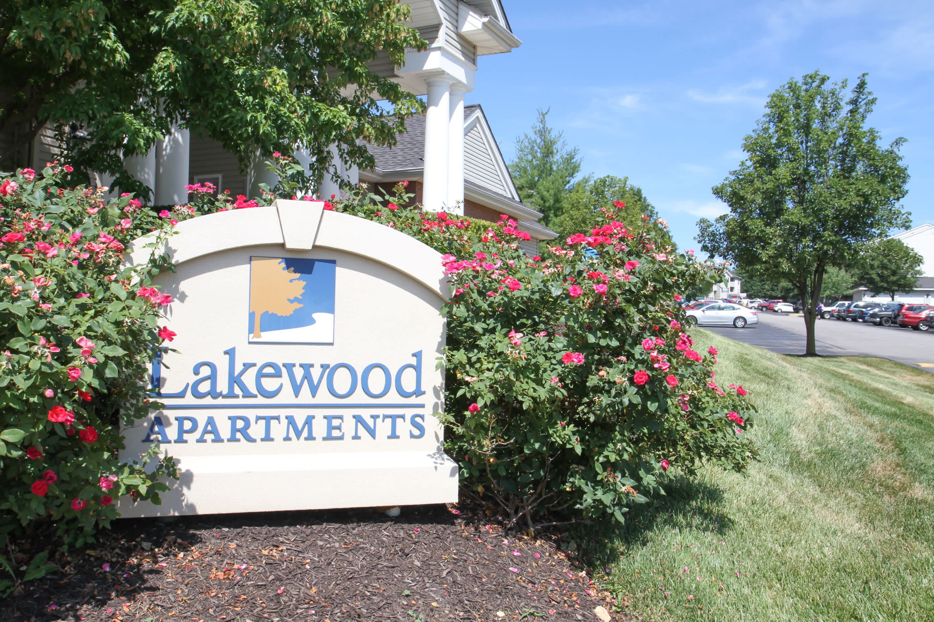 Lakewood – photo 2