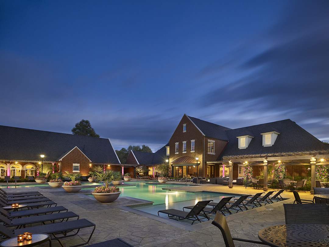 Ave Somerset – photo 3