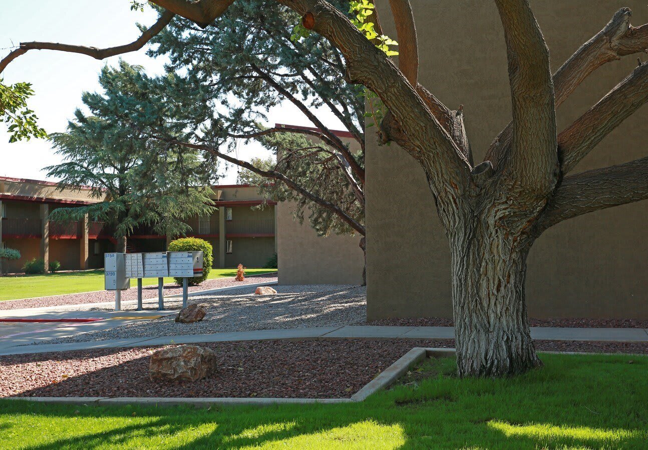 Vista Village – photo 3