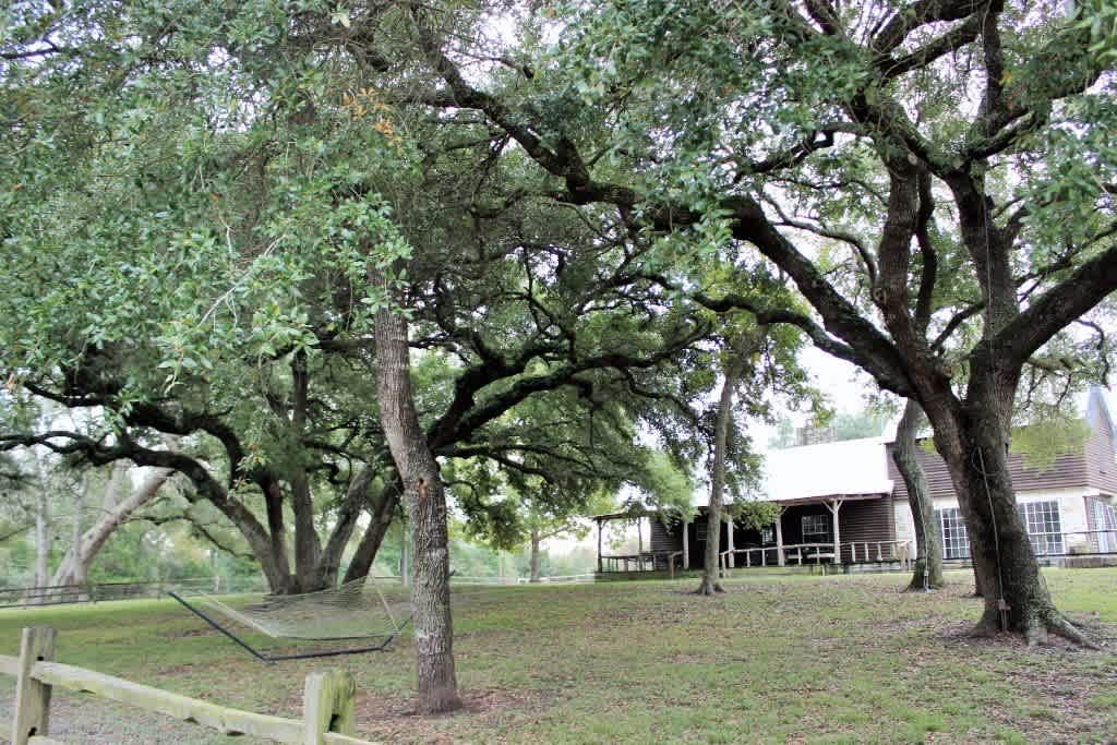 11850 McCrocklin Road – photo 4