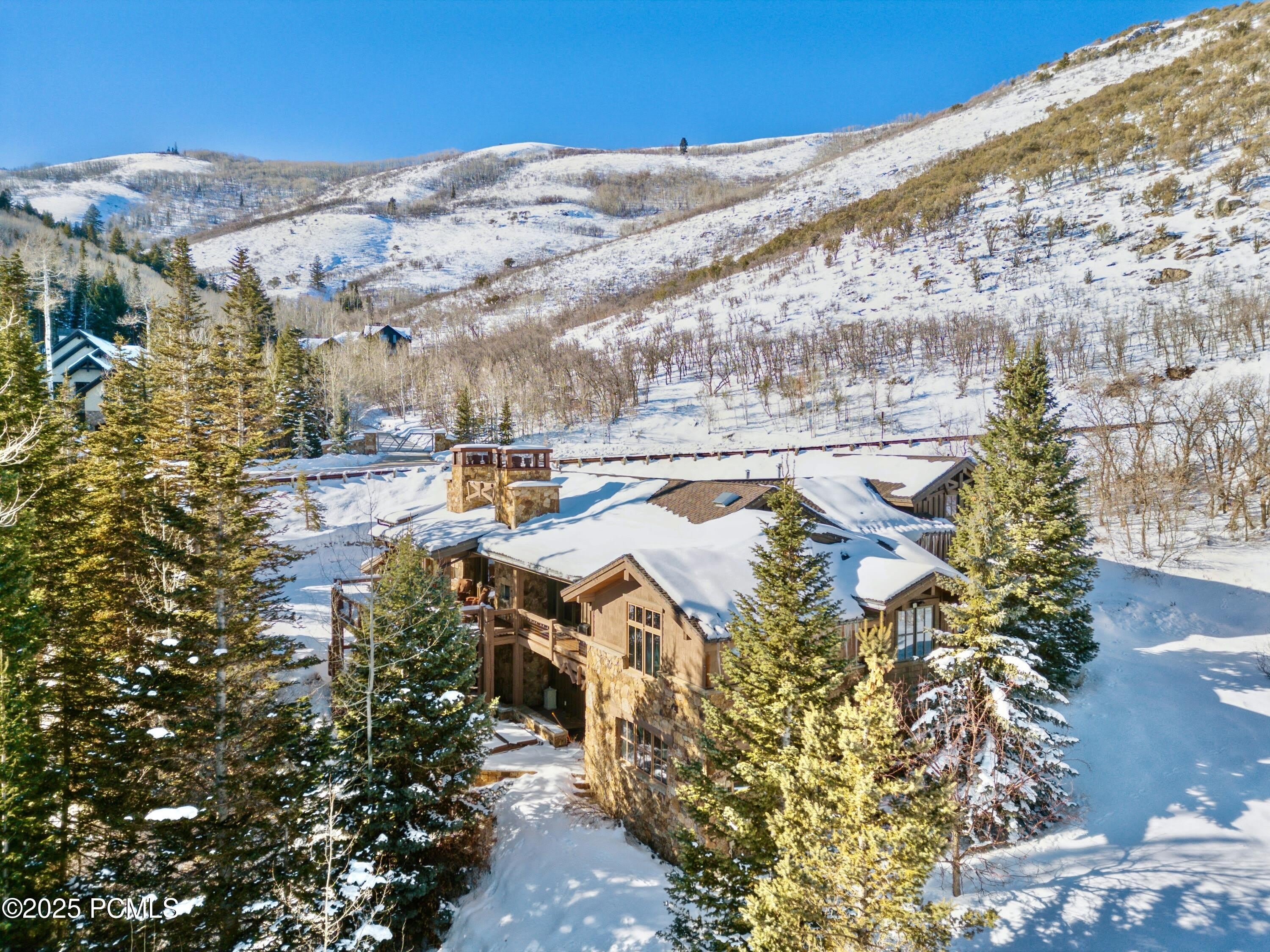 2520 Bear Hollow Drive – photo 4