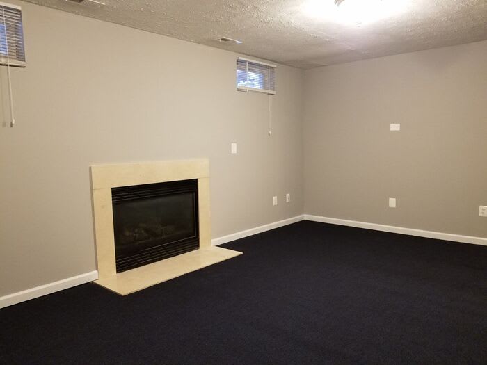 99 Snow Pine Court – photo 3
