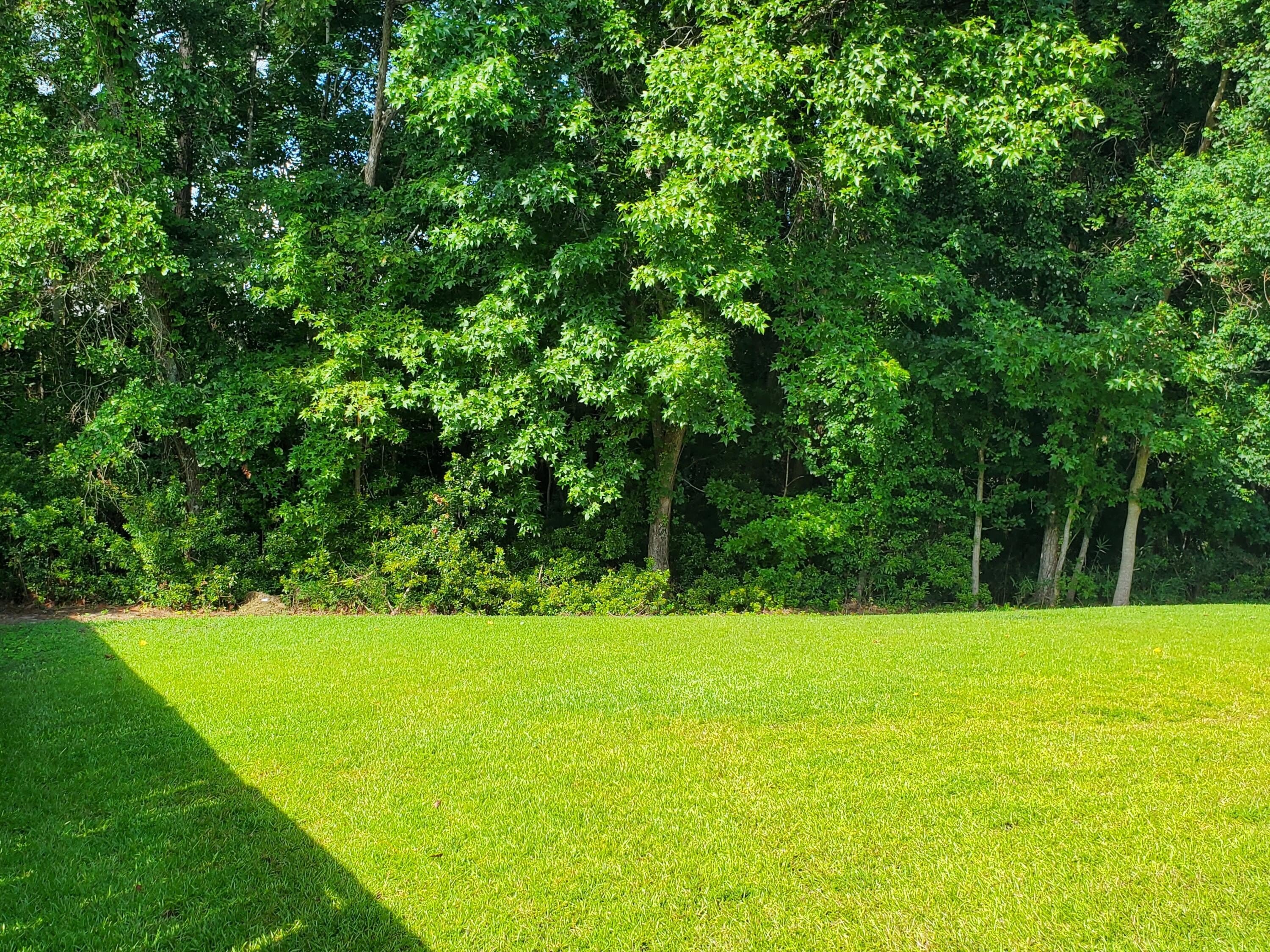 103 Salem Creek Drive – photo 3