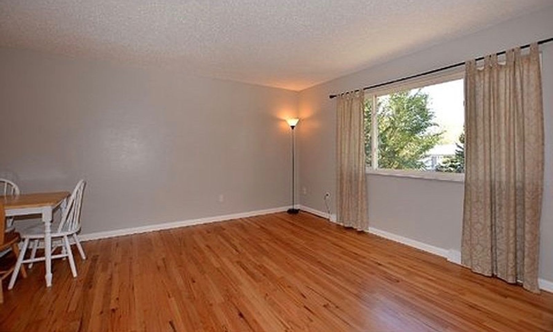 AVAILABLE AUGUST! Huge 4 bedroom/2 bath home with large fenced yard – photo 4