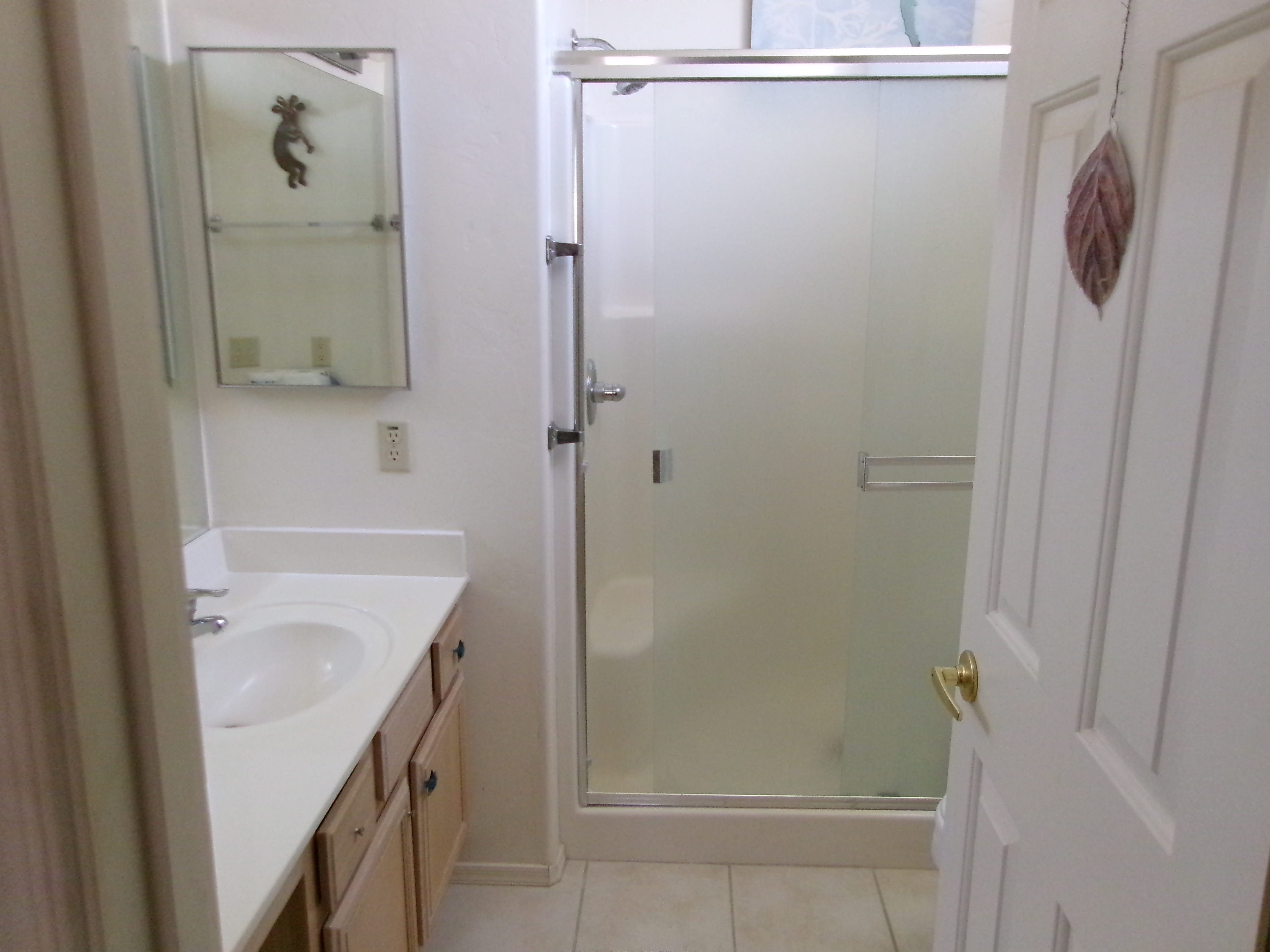 3848 S Camino Del Golfista – photo 2