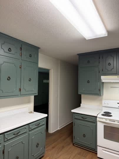 54 Dickson Circle – photo 5
