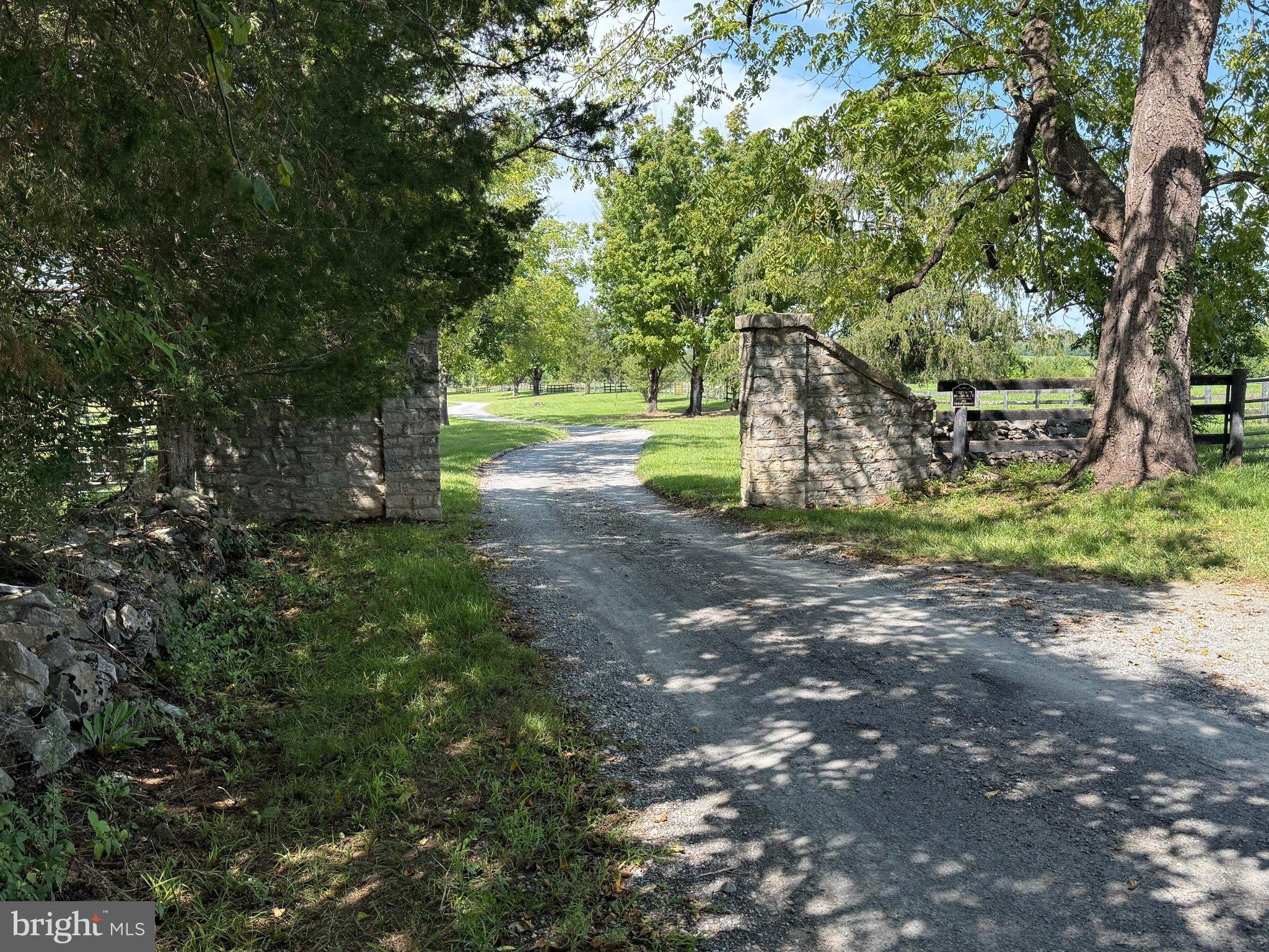 857 PAGE BROOK Lane – photo 3