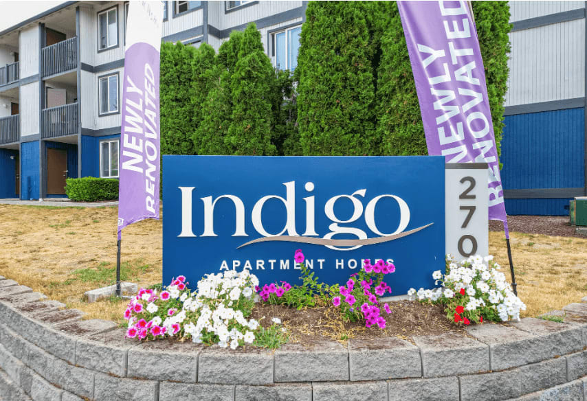 Indigo – photo 1