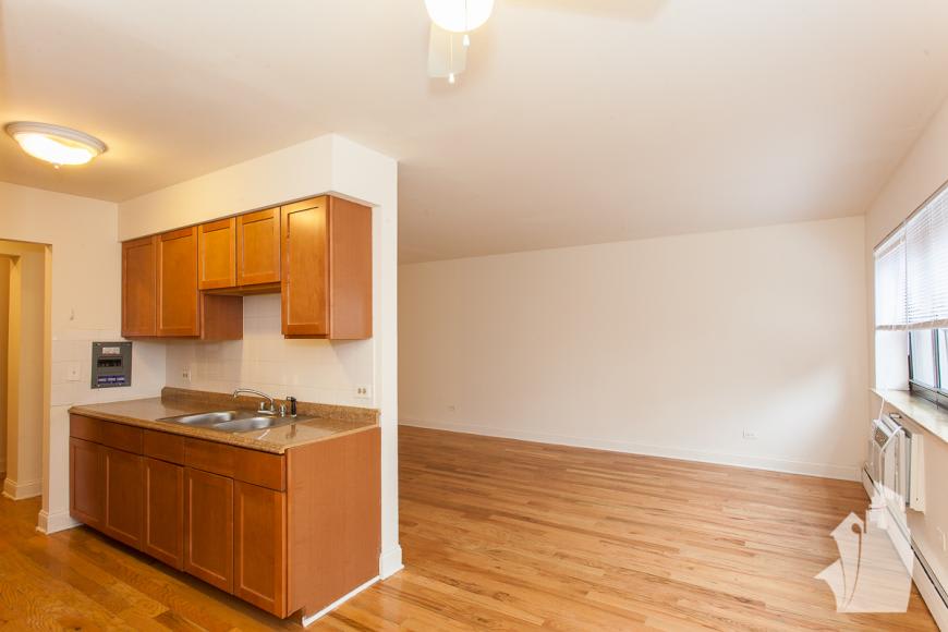 509 W Briar Pl – photo 3