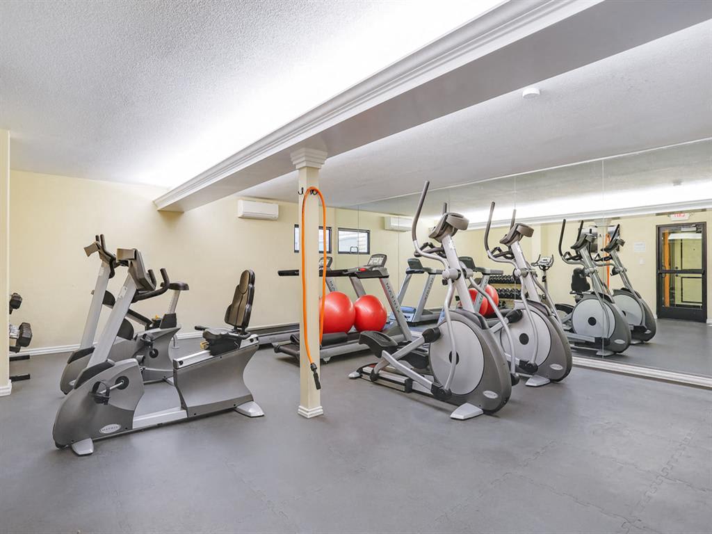 El Gato Penthouse – photo 4