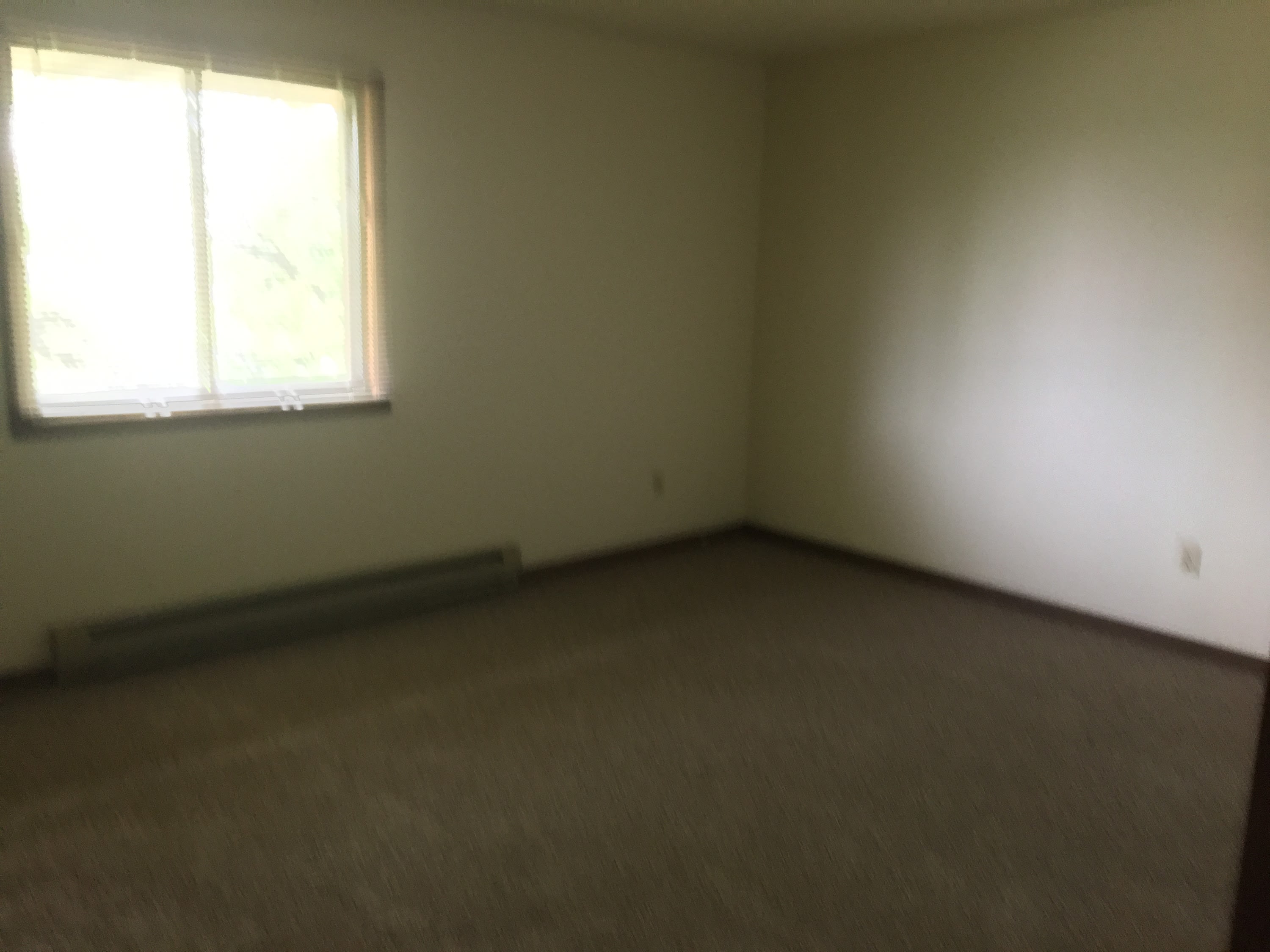 5936 Margery Drive #207 – photo 2