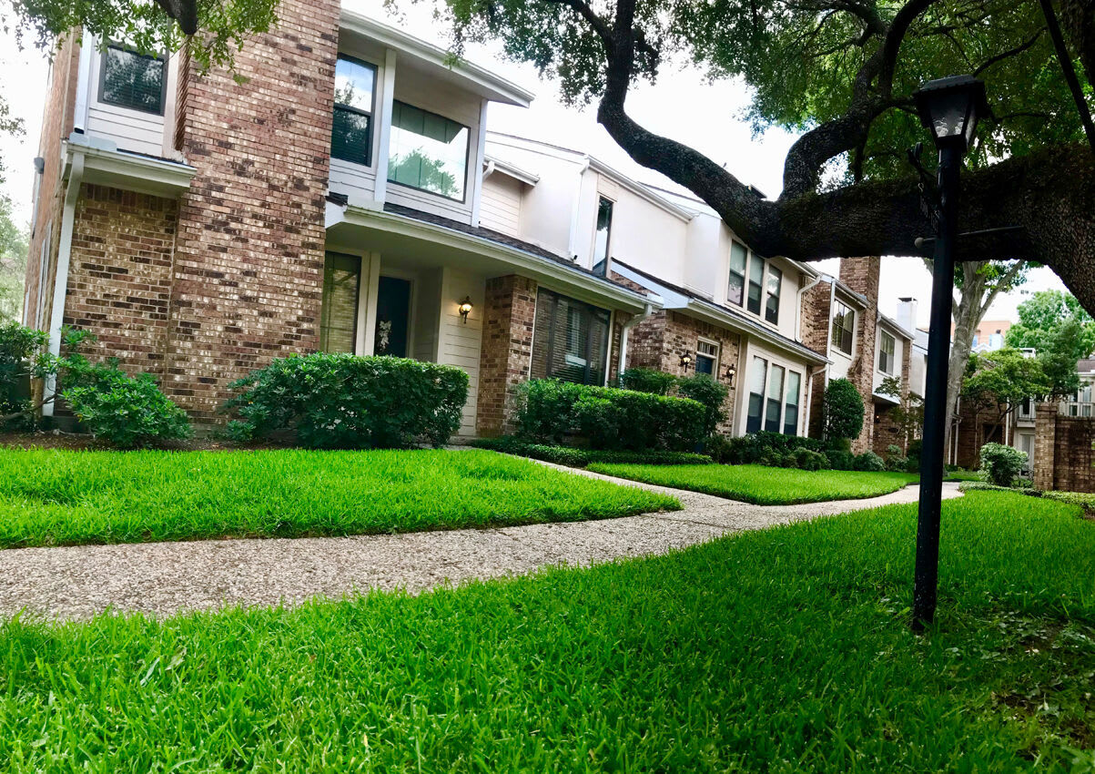 San Felipe Square Townhomes – photo 5