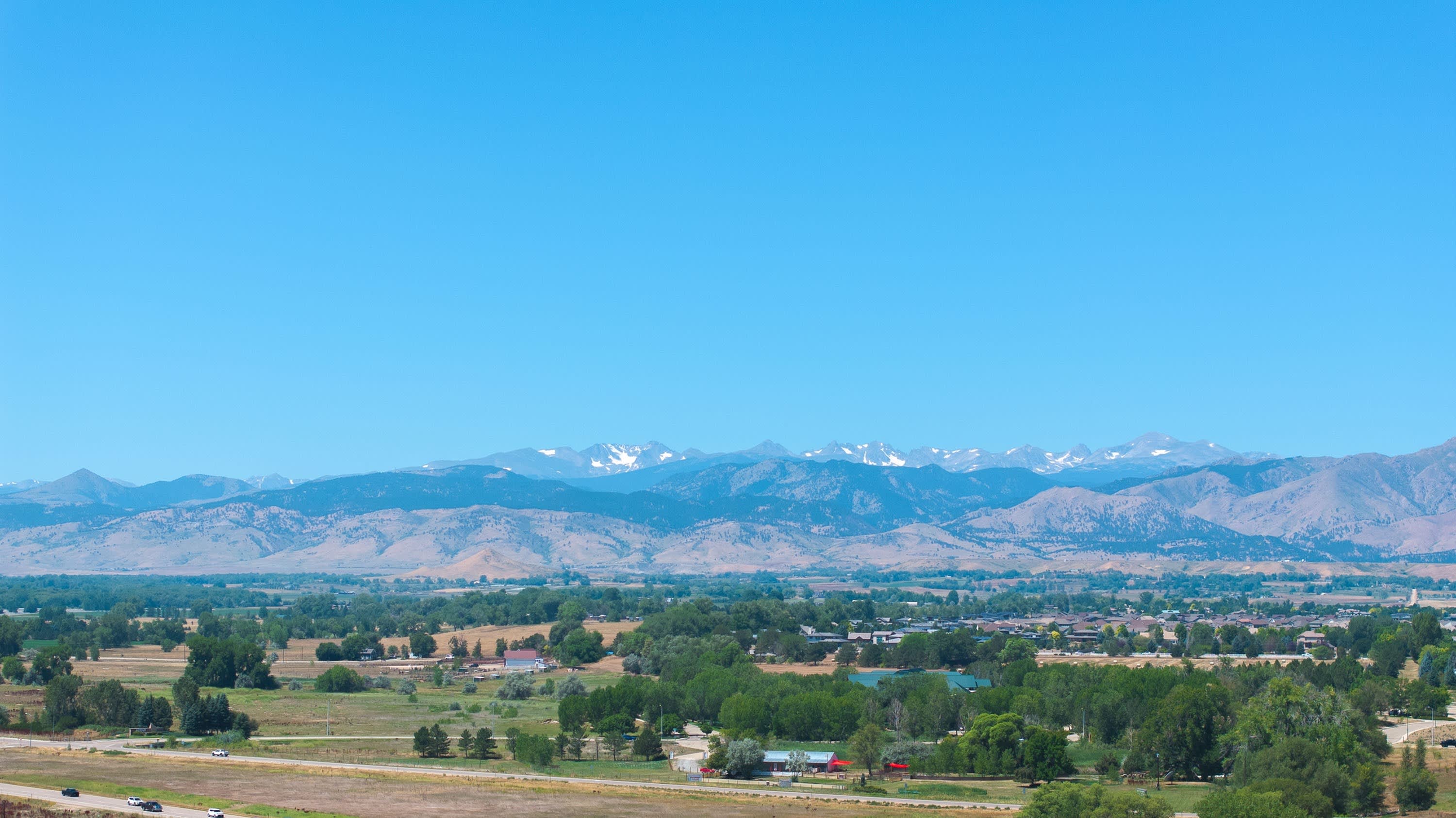 Lupine Longmont – photo 5