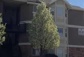 Great Daybreak Condo in Harvest Hills!! – photo 1