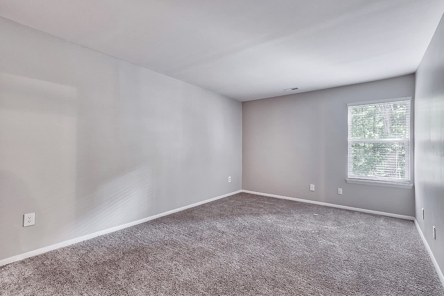 Woods of Williamsburg Apartments – photo 3