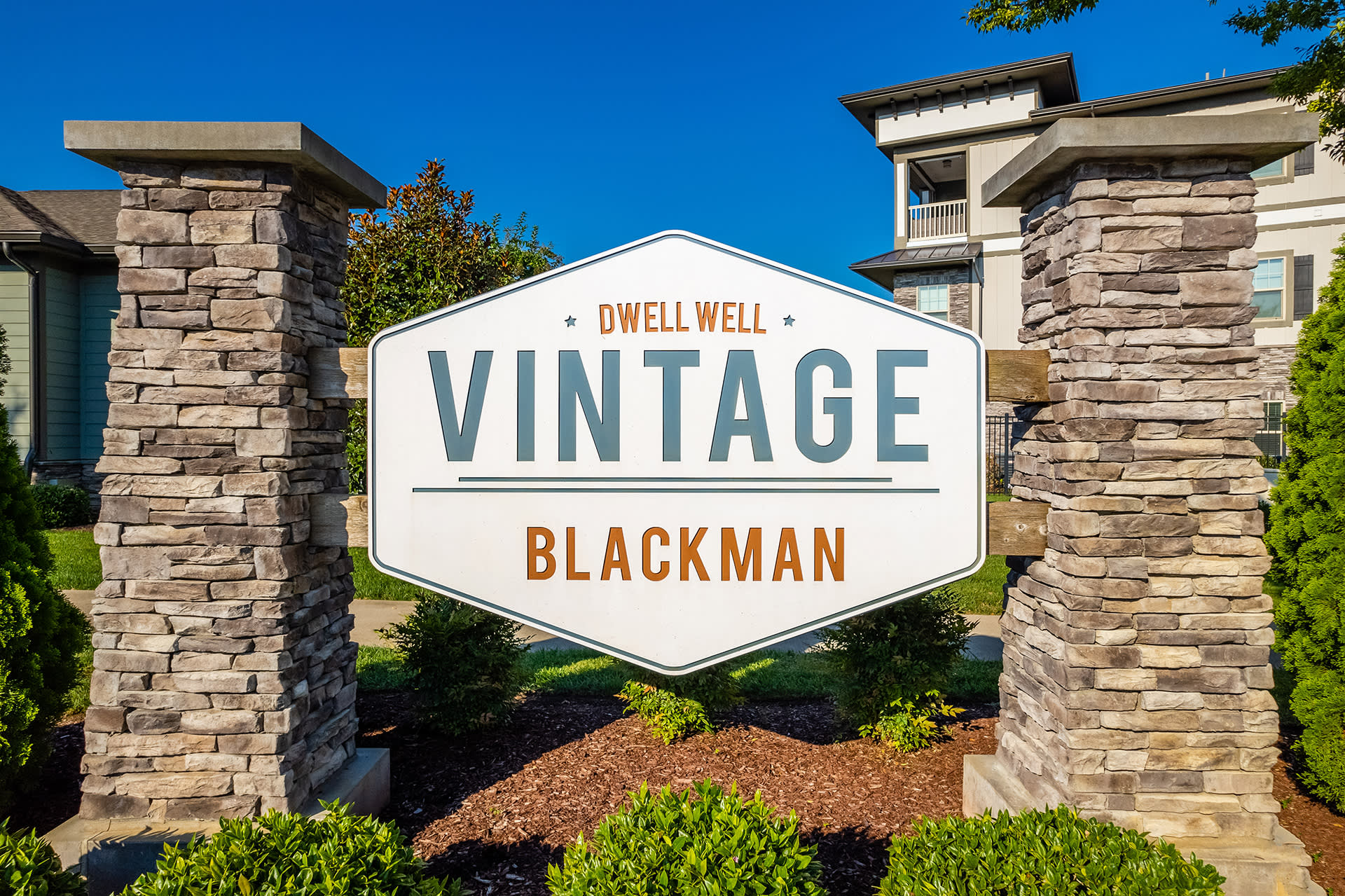 Vintage Blackman – photo 2