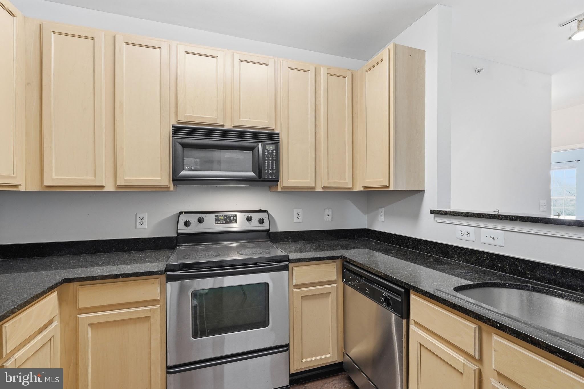 22607 BLUE ELDER Terrace – photo 5