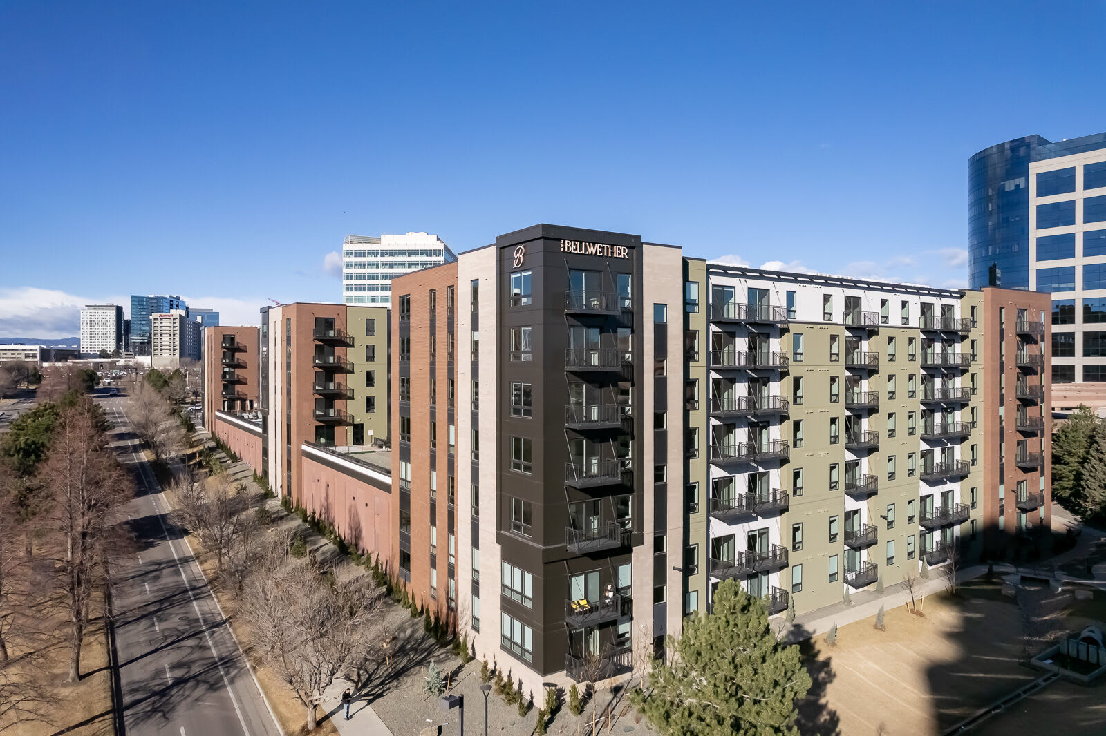 The Bellwether – photo 2