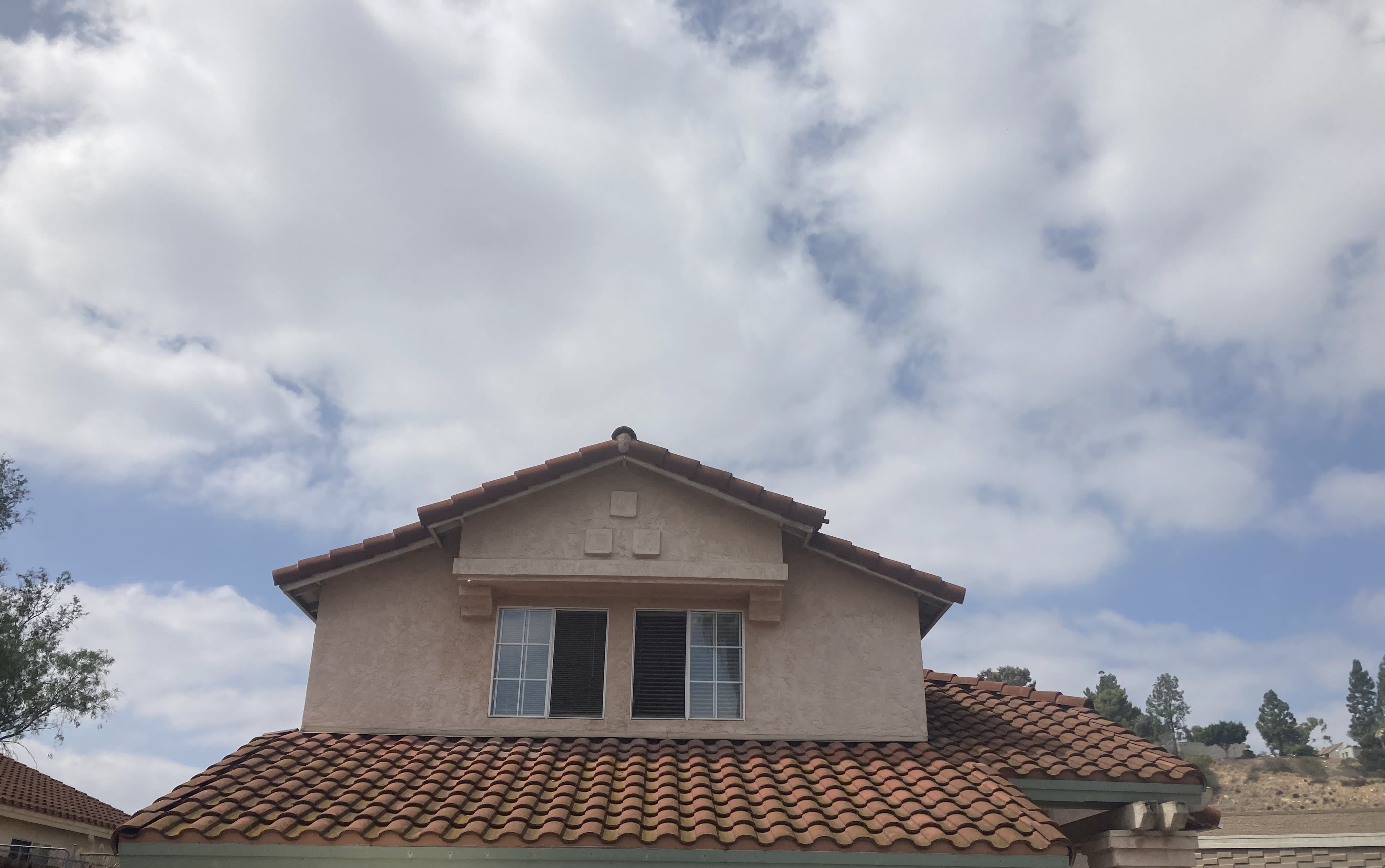 262 Arran Avenue – photo 5