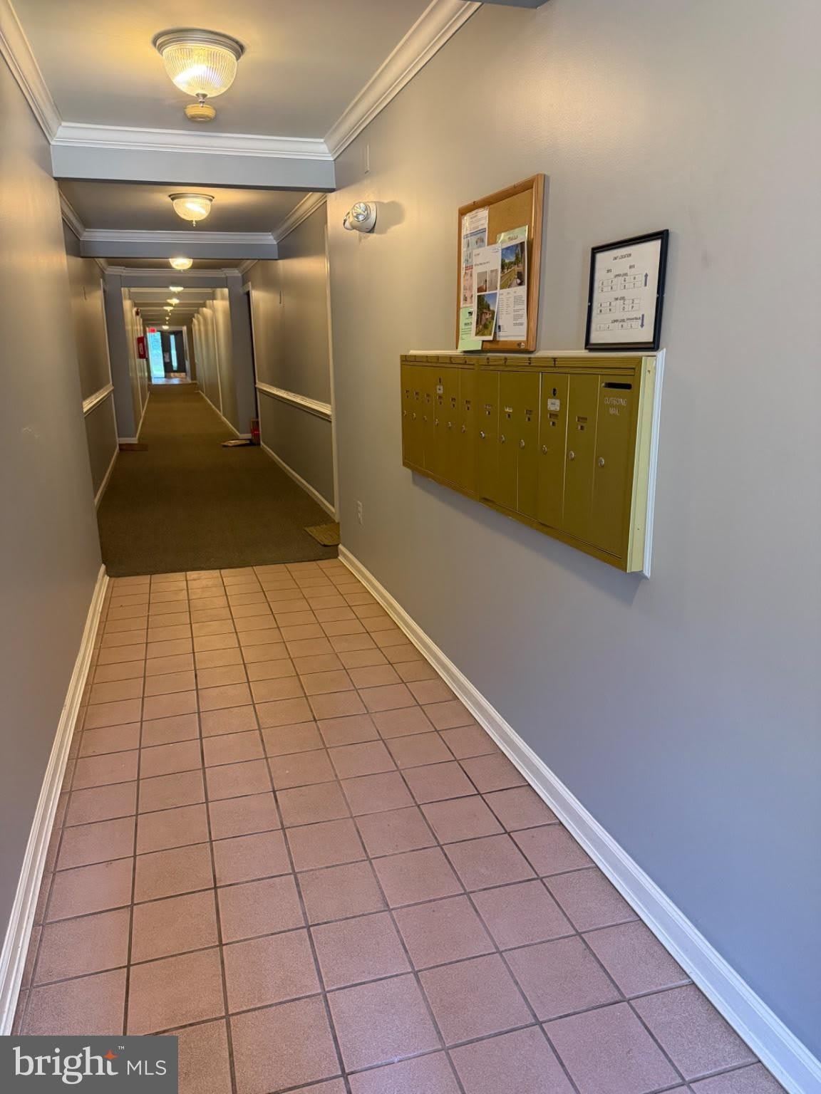 5816 Royal Ridge Drive – photo 2