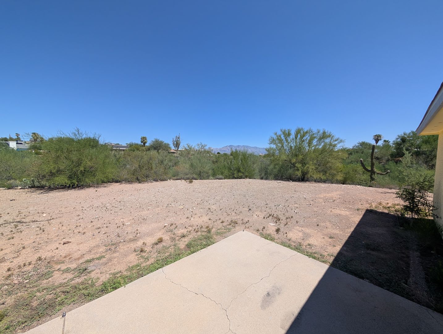 Must See 3Bed 2Bath Home In Saddlewood Ranch New Ac Huge Yard – photo 2