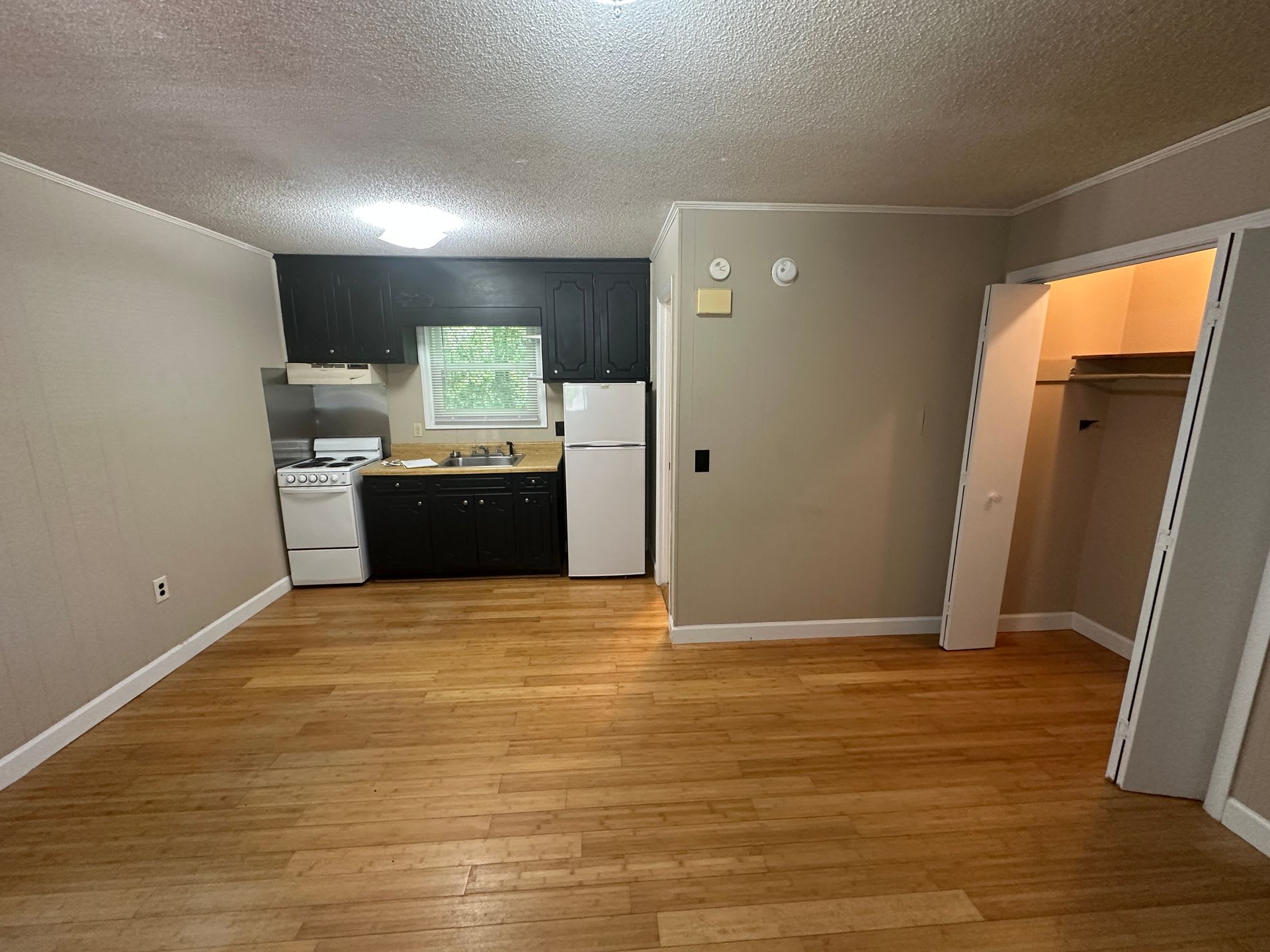 Studio Apartment For Rent Near Clemson University – photo 2