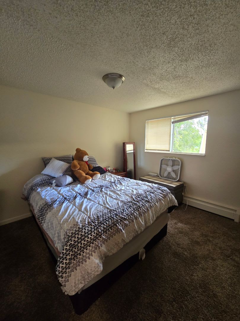2 Bedroom 1.5 Bath in Longmont, CO! – photo 5
