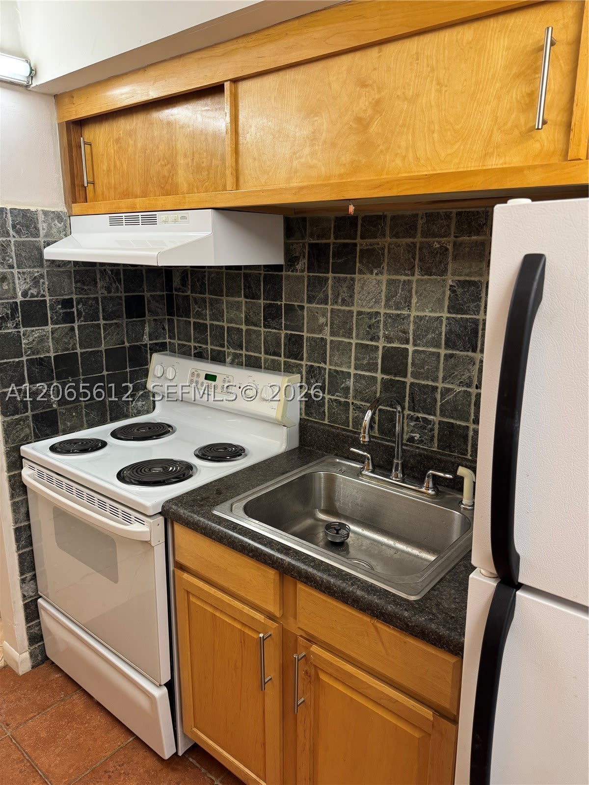 10762 La Placida Dr – photo 2