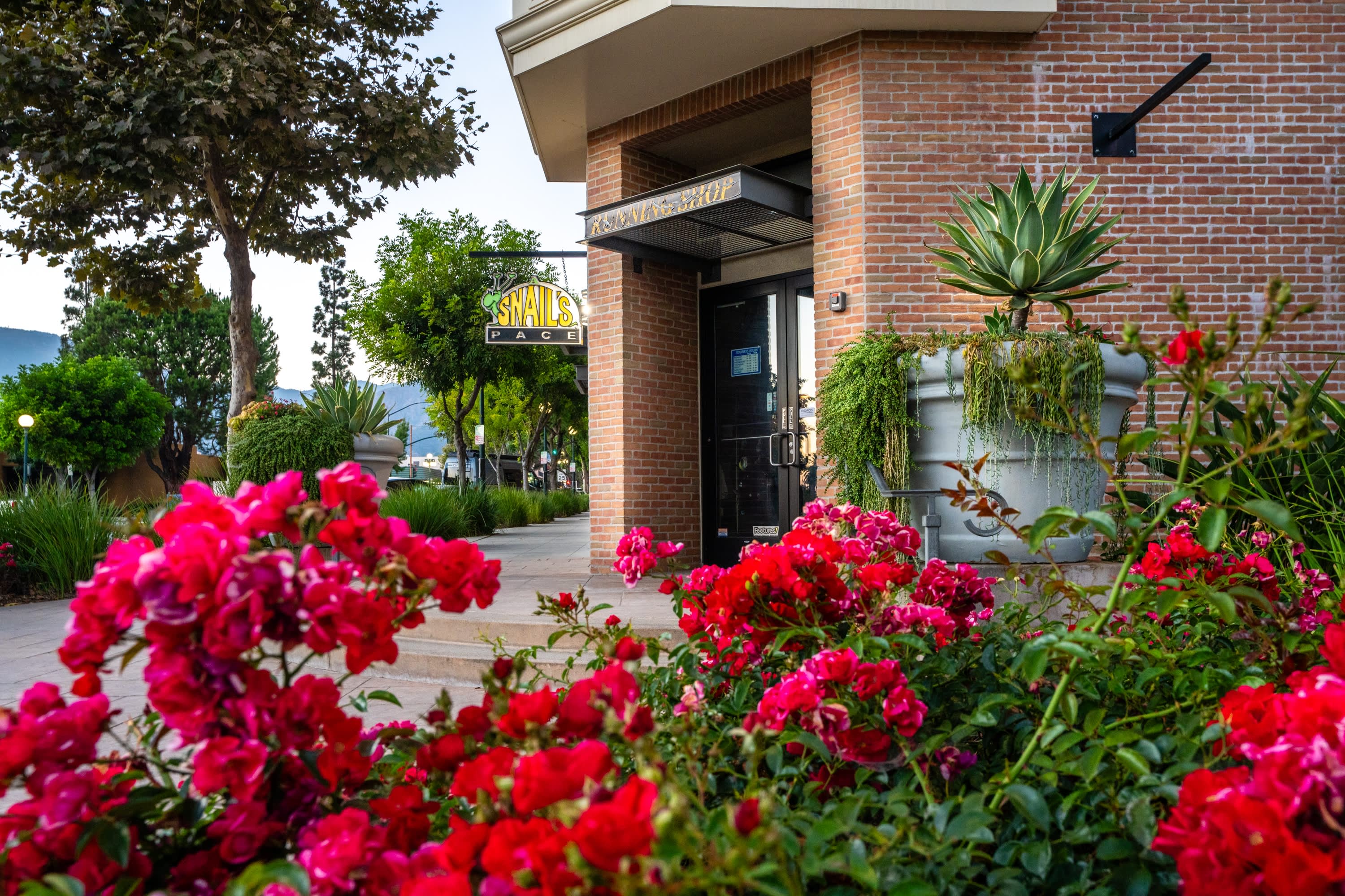 Paragon At Old Town – photo 1