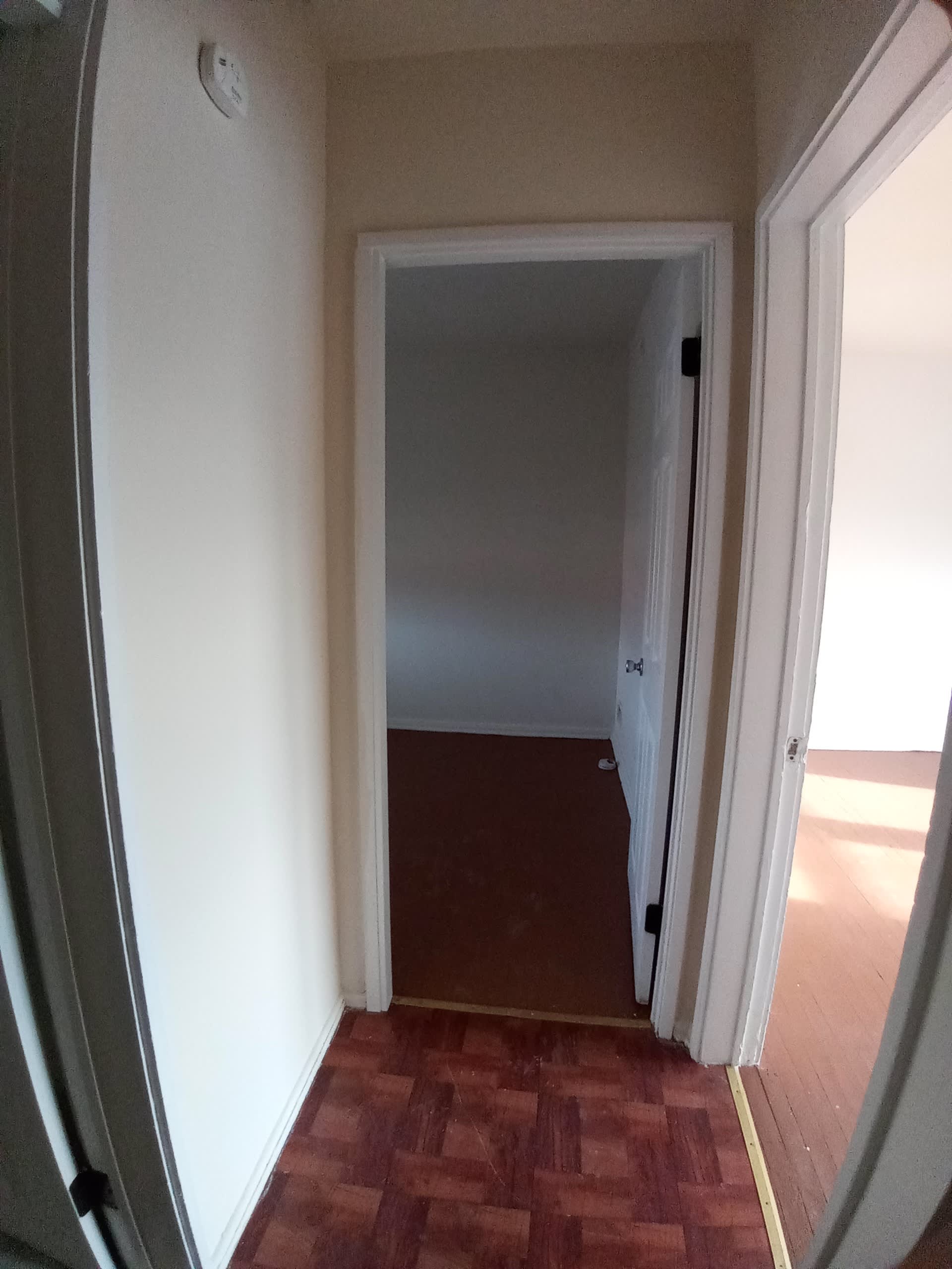 3810 Saint Margaret St – photo 4