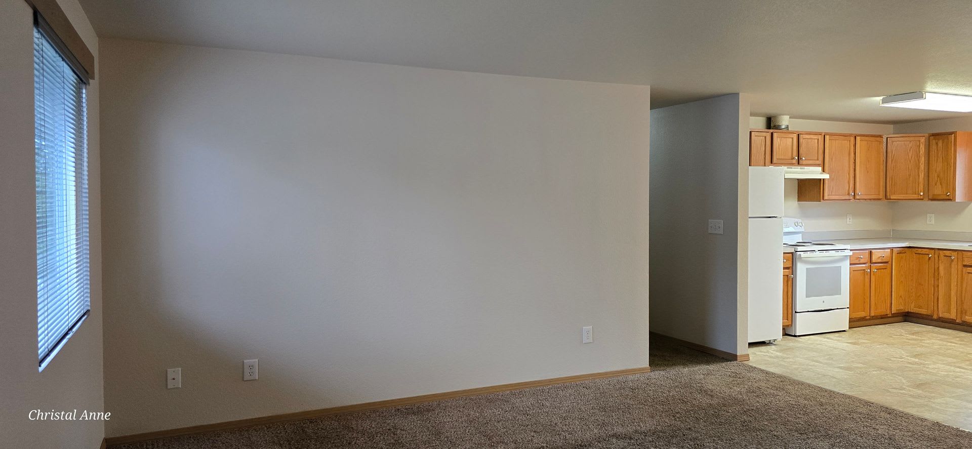 3 bedroom 1 bath in Shorecrest Neighborhood – photo 5