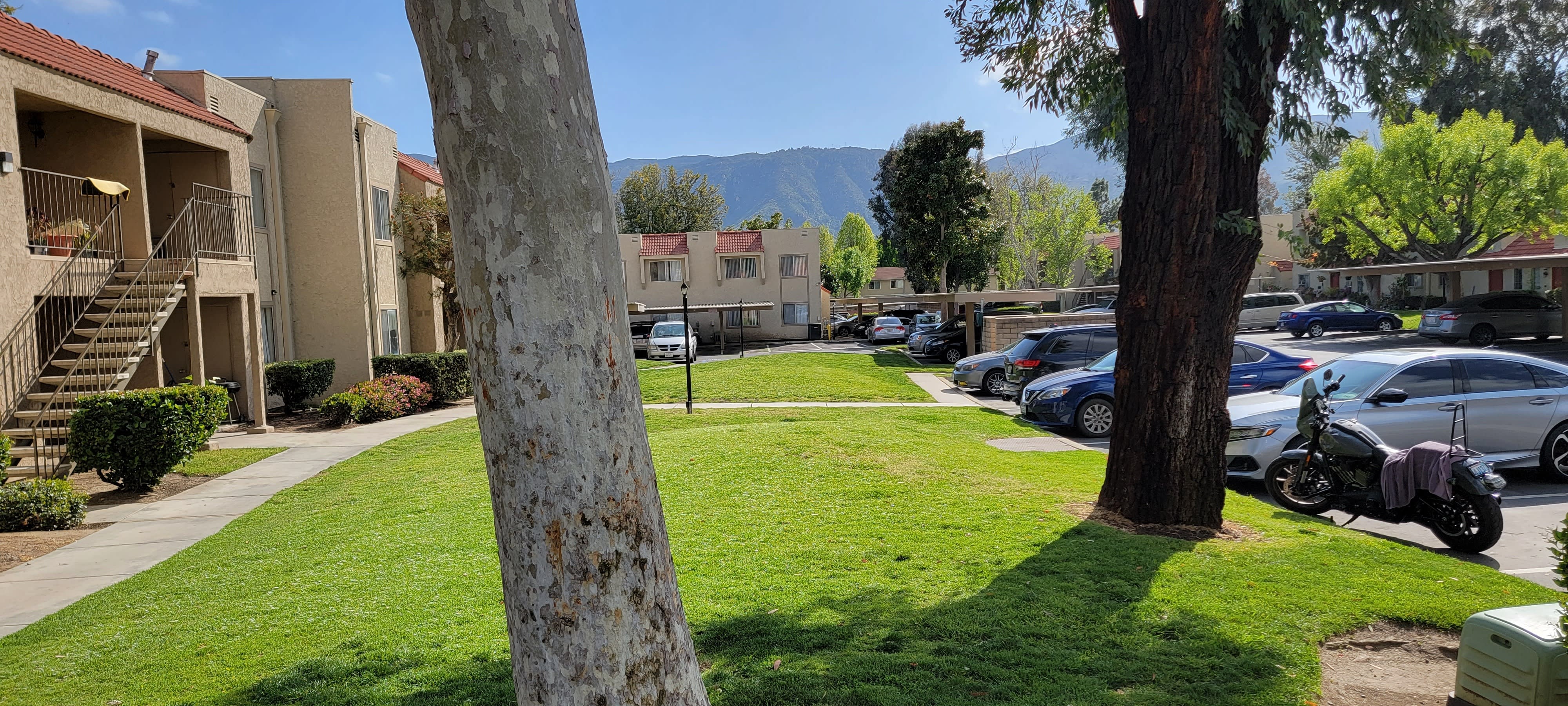 Sierra Vista – photo 5