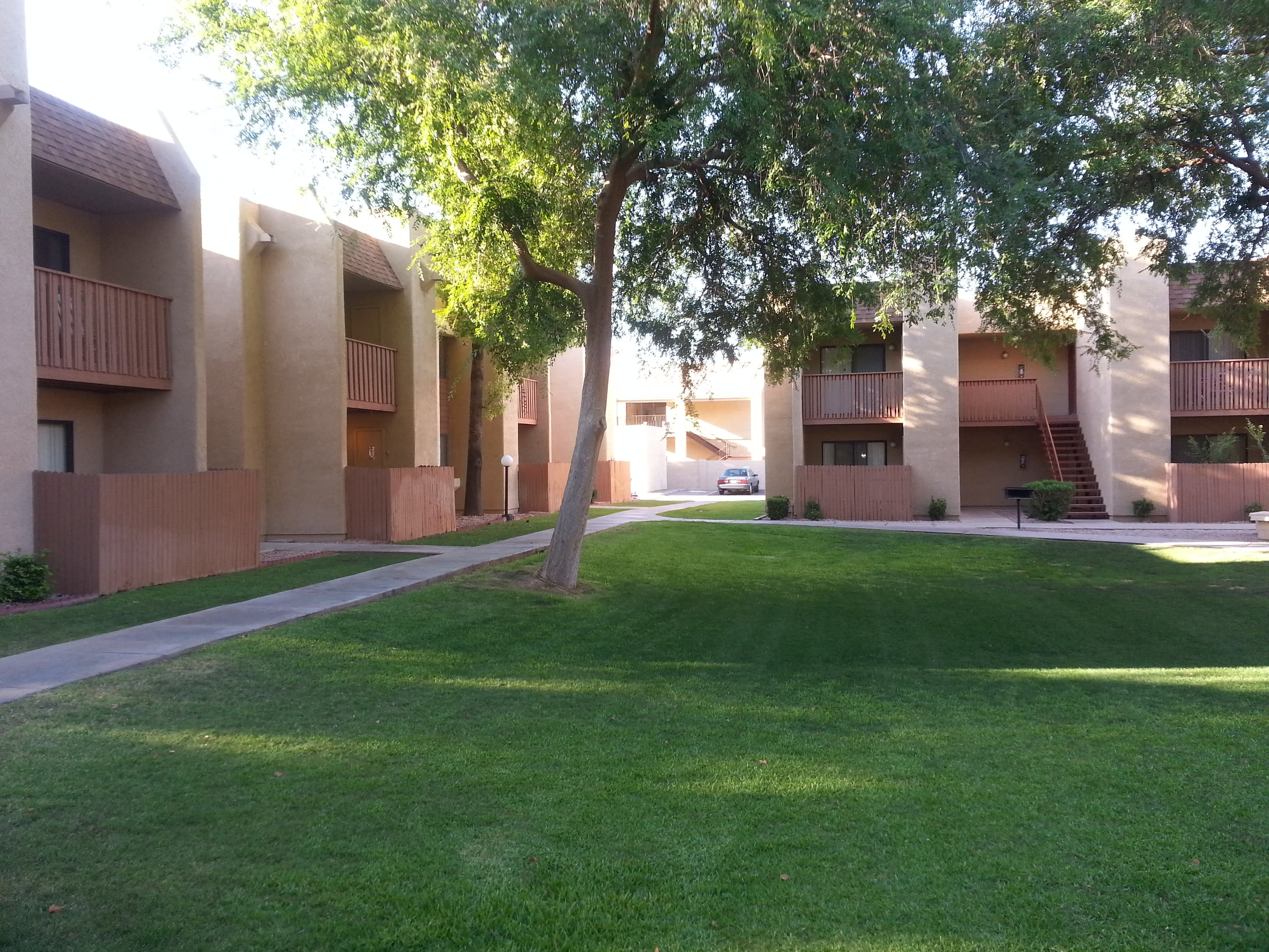 Desert Meadows – photo 2
