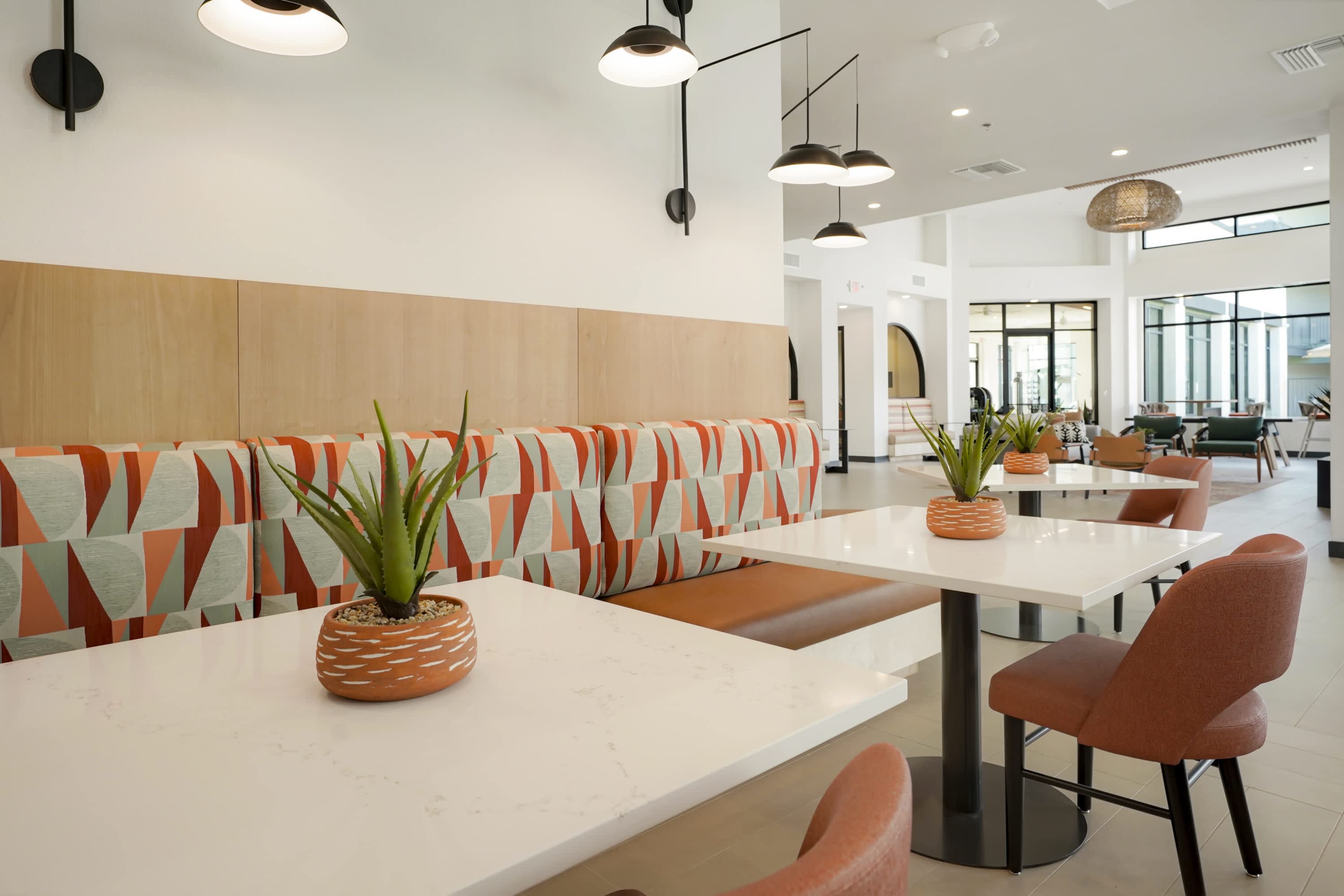 Nacona Apartments – photo 5