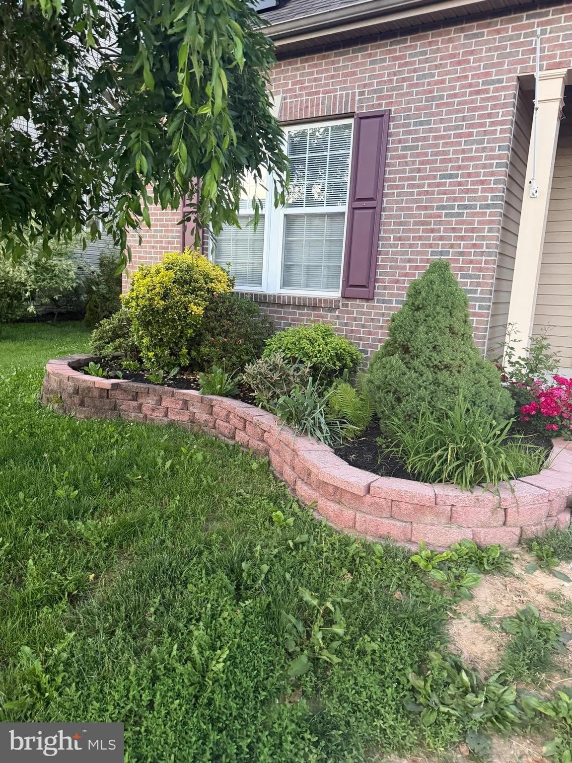 14108 SHELBY Circle – photo 2