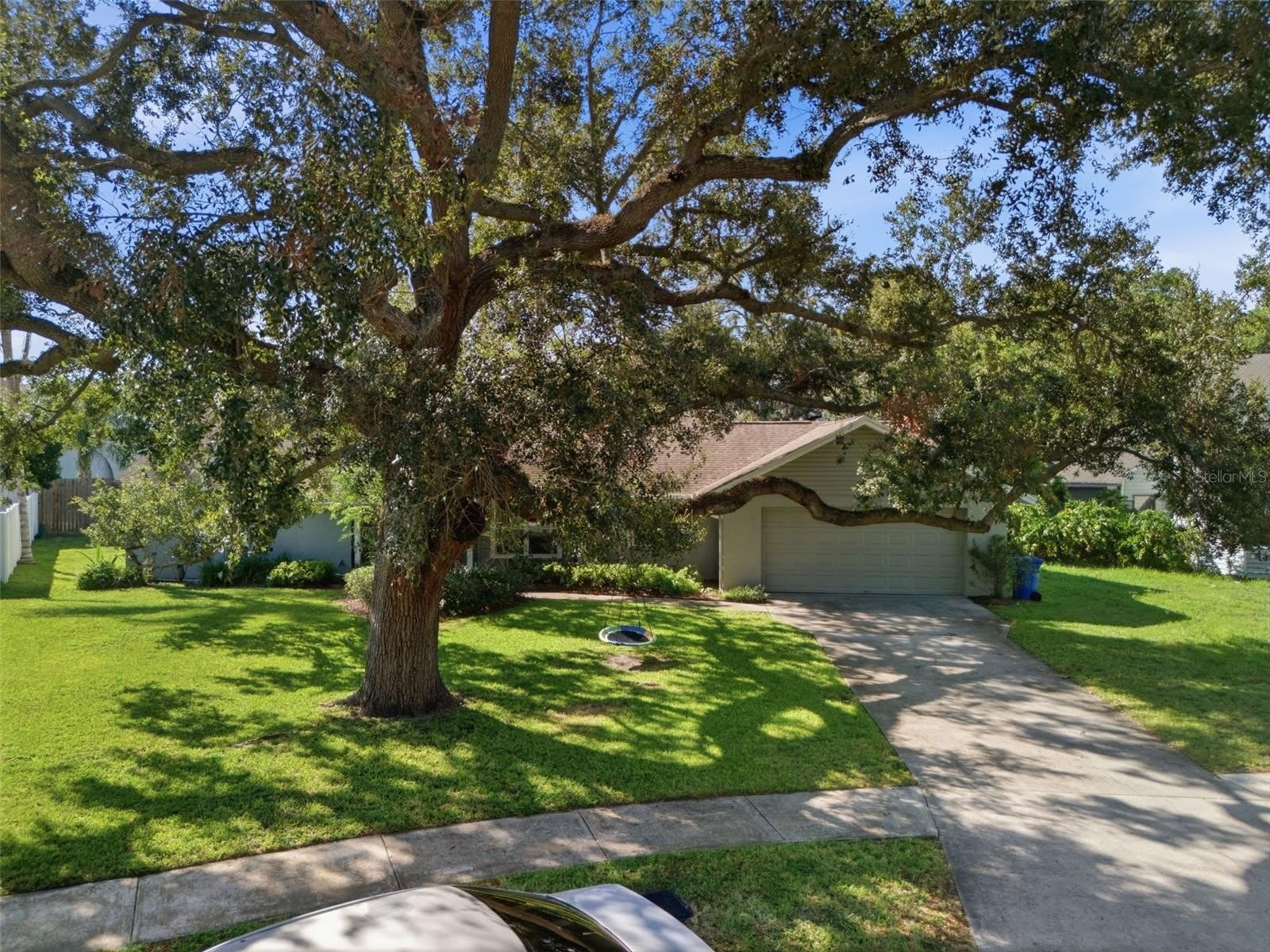 13536 LAKE MAGDALENE Drive – photo 5