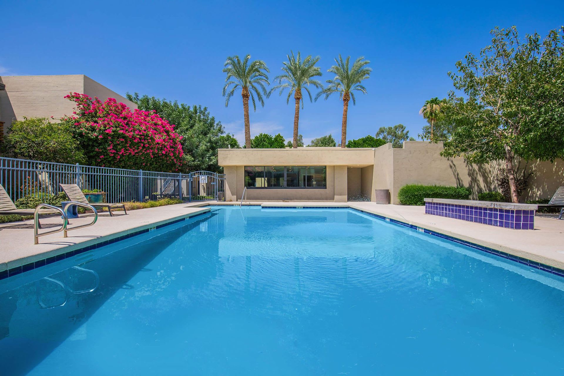 Palm Desert – photo 5