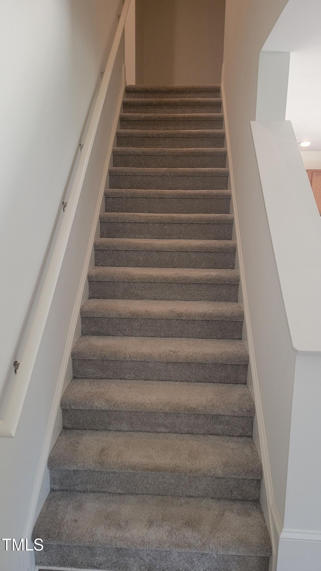 330 Purple Aster Street – photo 5