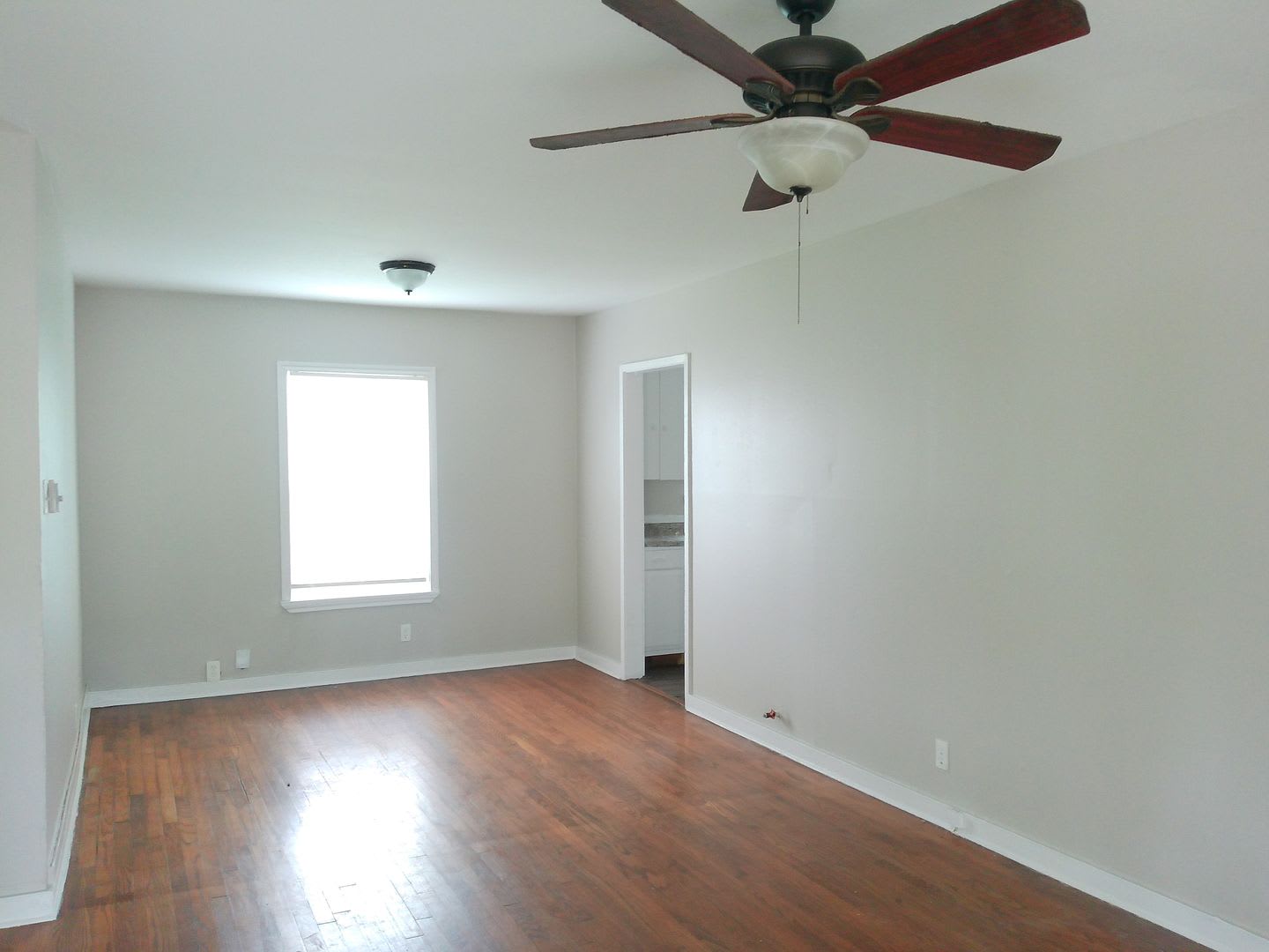 2837 Sarita – photo 2