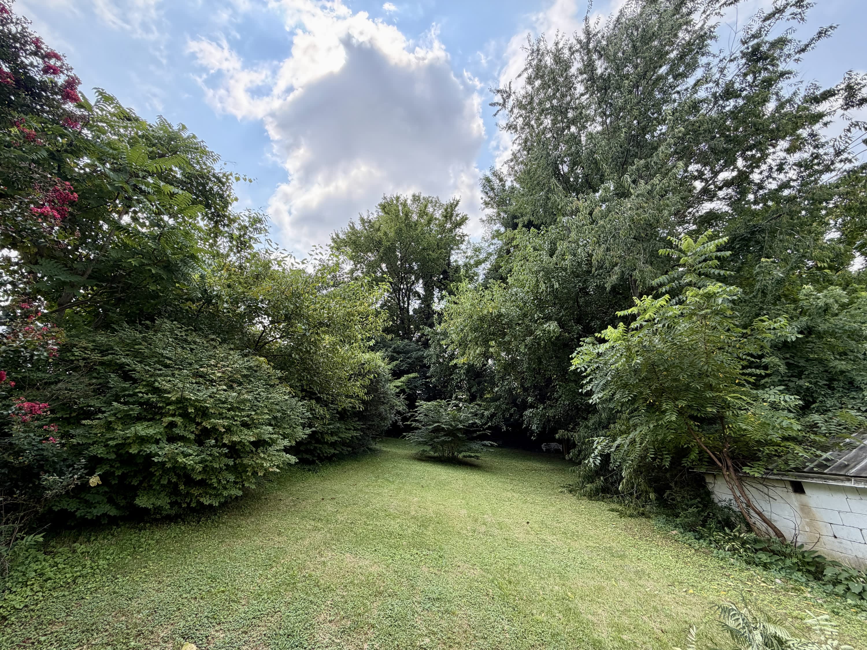 219 Bourne Avenue – photo 3