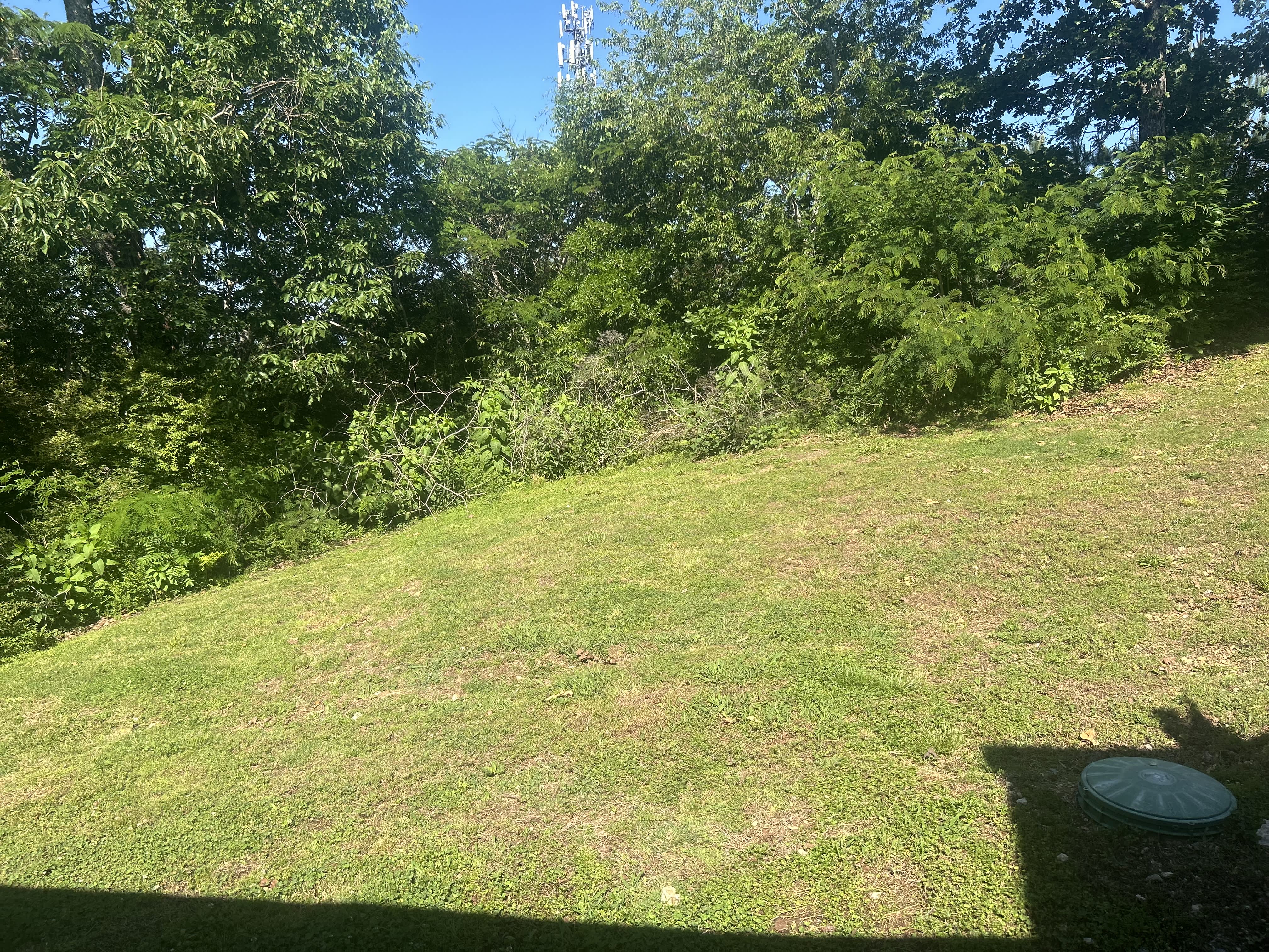 1679 Hamlet Drive – photo 3