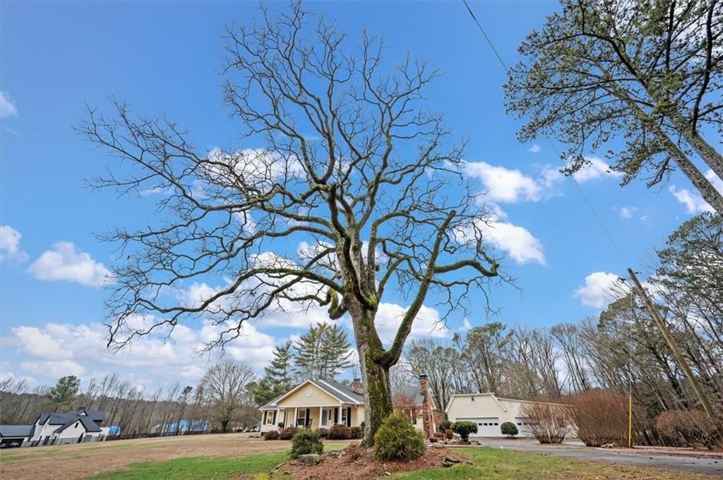 14605 Cogburn Road – photo 3