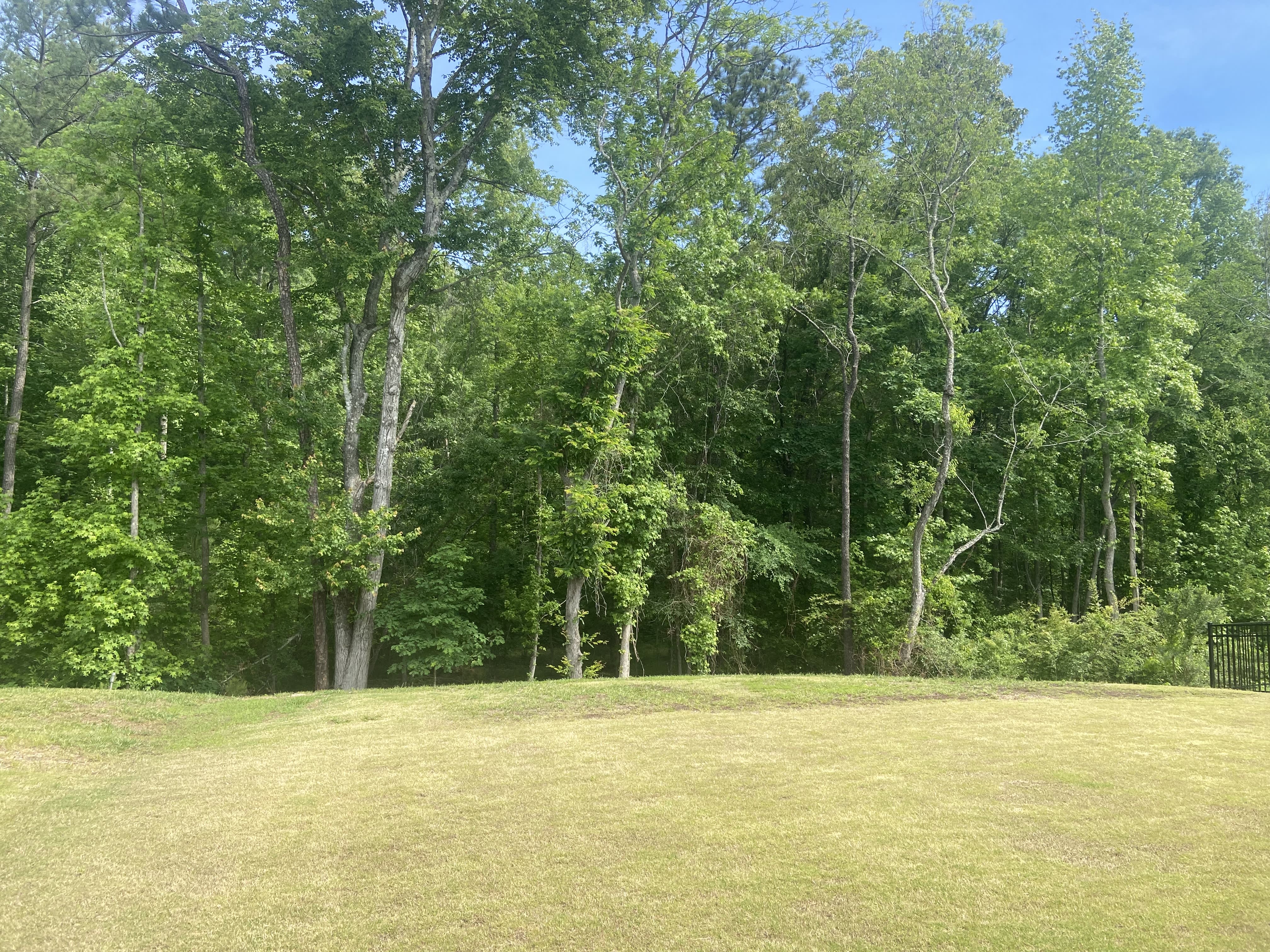 111 David Hill Drive – photo 2