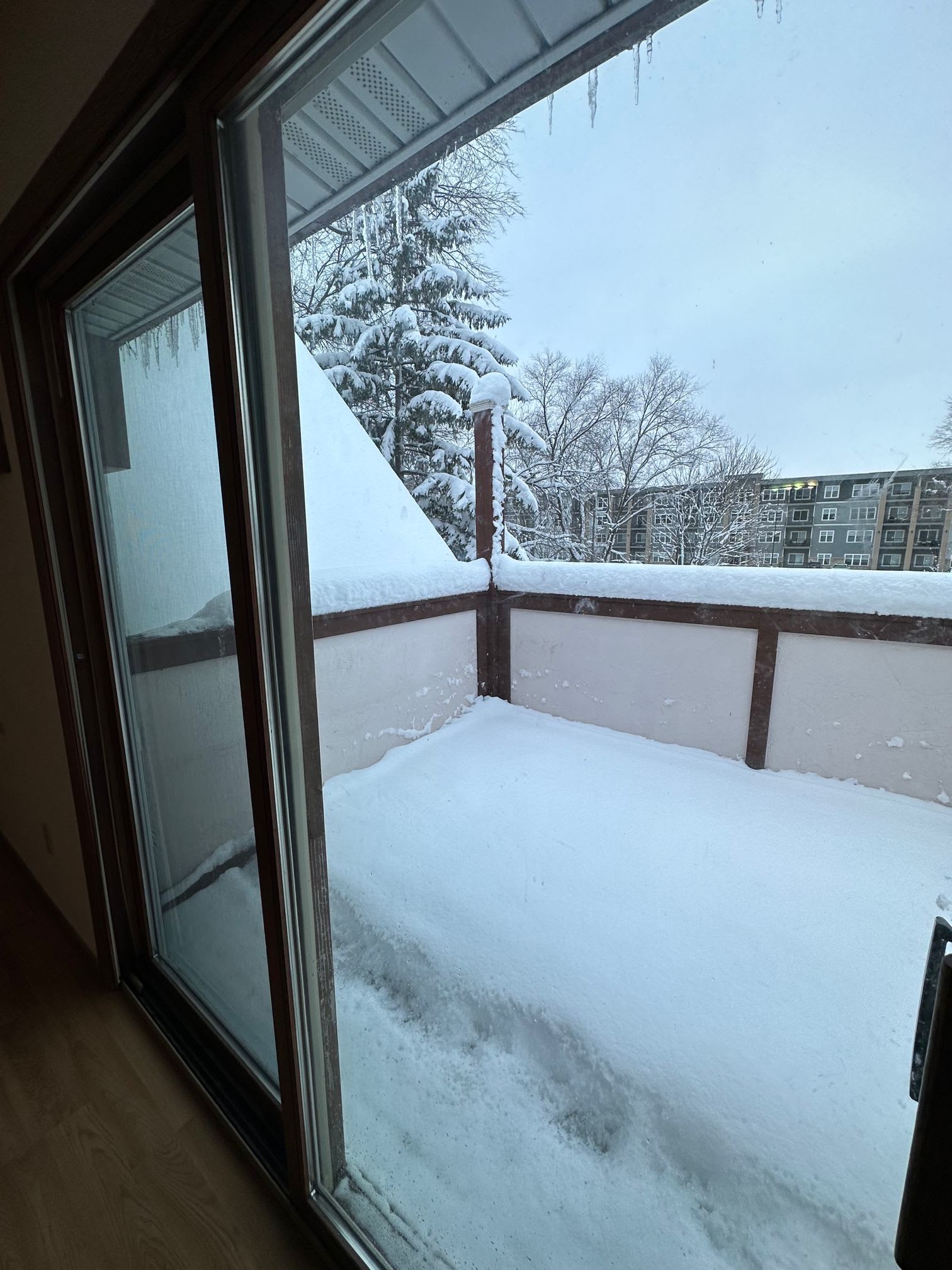 3010 Patty Lane – photo 5