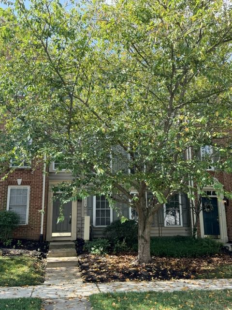 203 Altair Way – photo 1