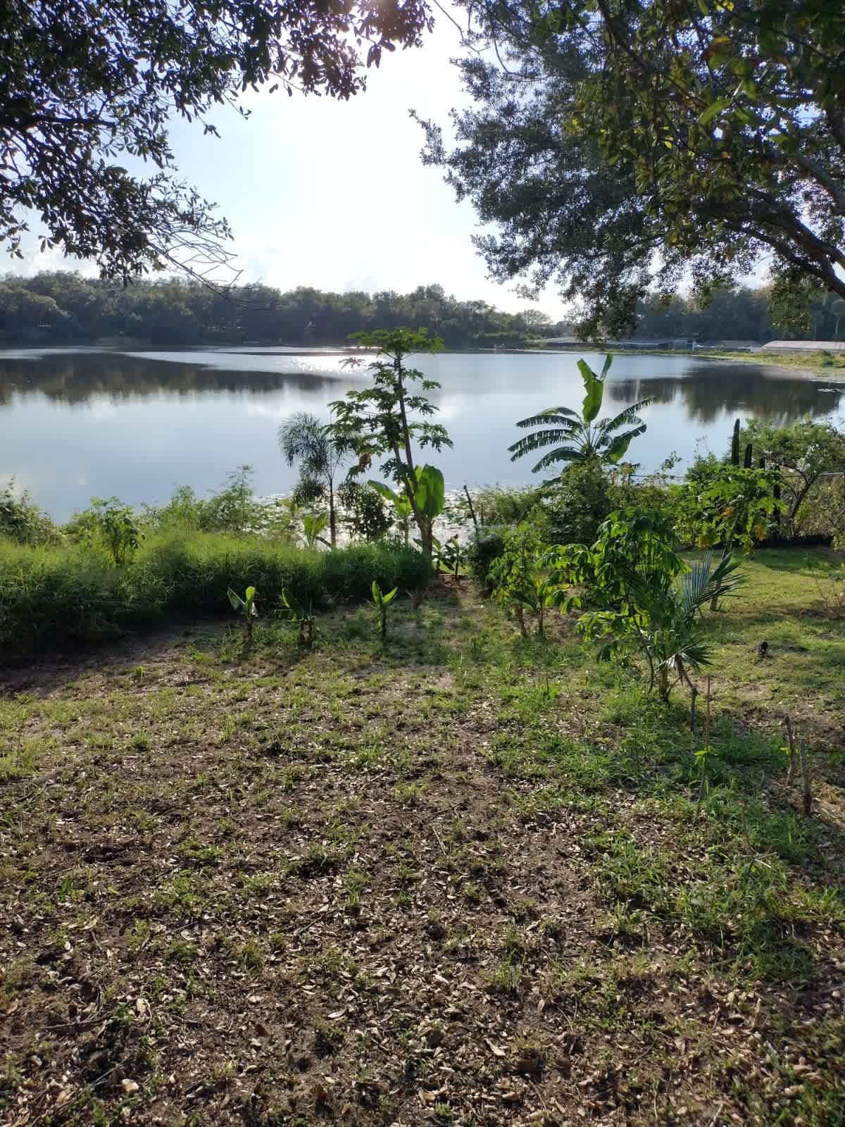 334 Lake Shepard Drive – photo 1
