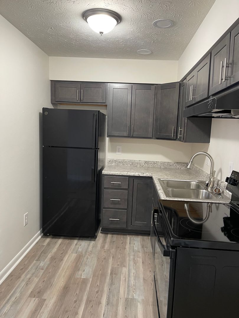 Newly Remodeled Apartment for Rent – photo 5