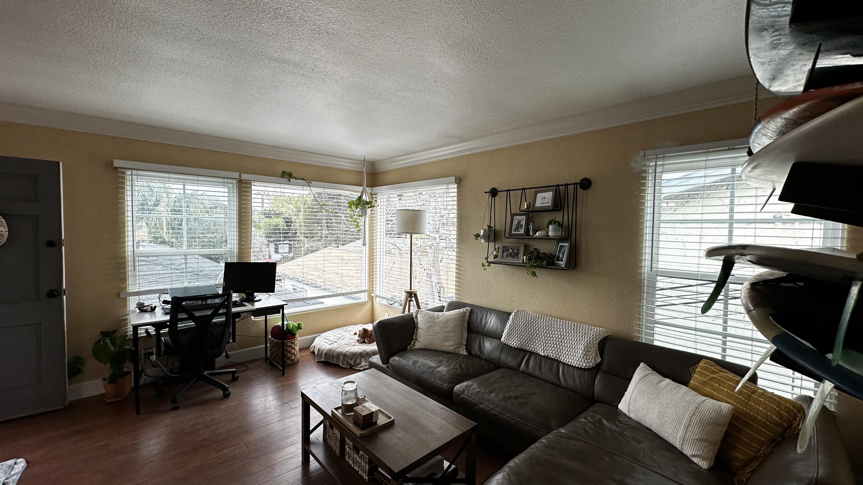 4870 Muir Avenue – photo 5