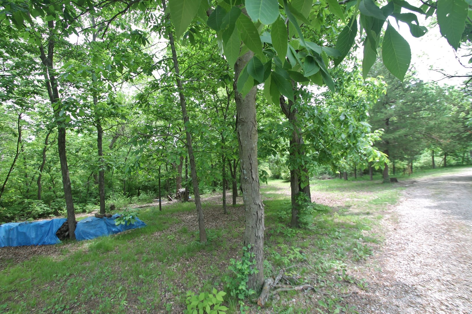 Secluded Luxury Cabin In Woods With Private Lake Great Central Location Between Topeka Lawrence Beware Of Fraud Deposits Are Handled In Person And Only At Our Office – photo 4