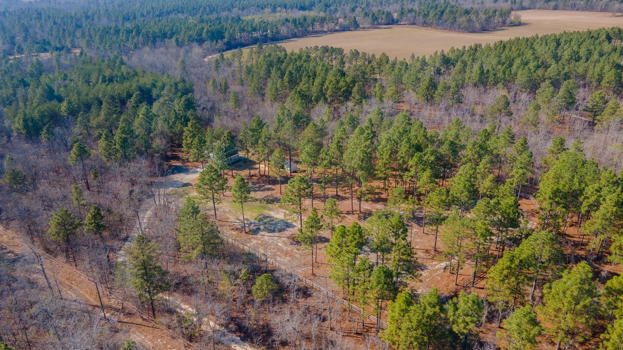 316 Cadle Crossing Road – photo 4